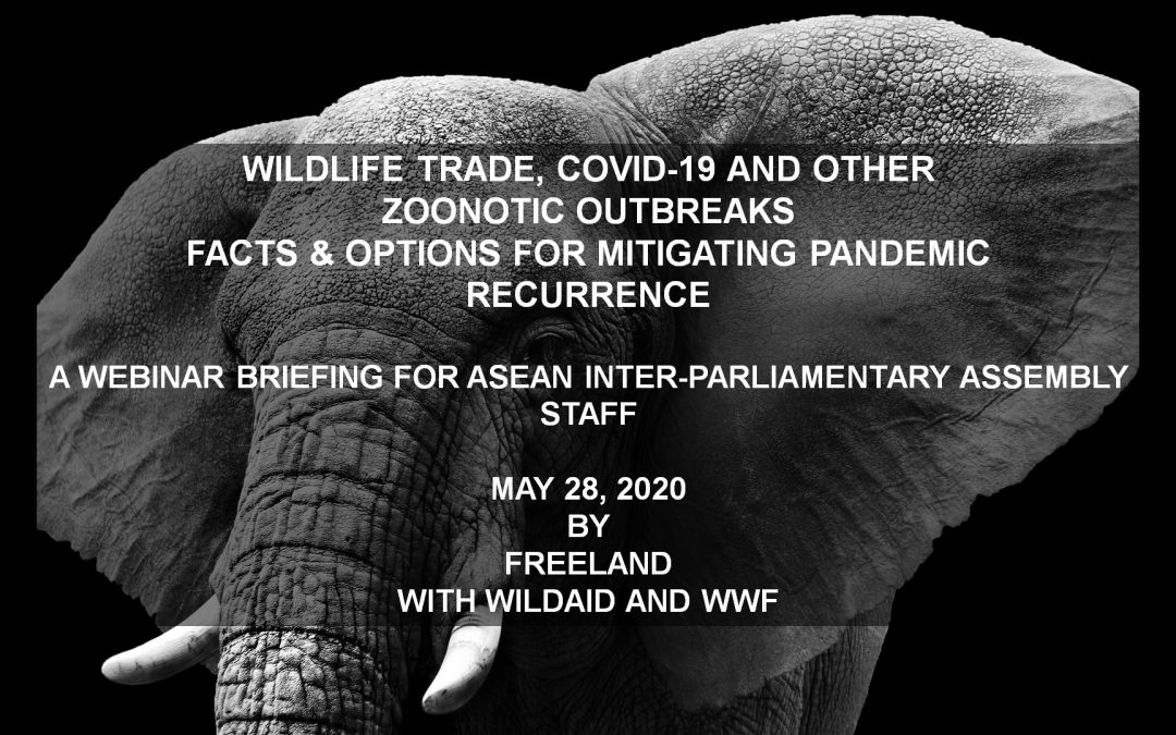 A Virtual Briefing on Wildlife Trade and Links with Covid-19 and Other Zoonotic Outbreaks